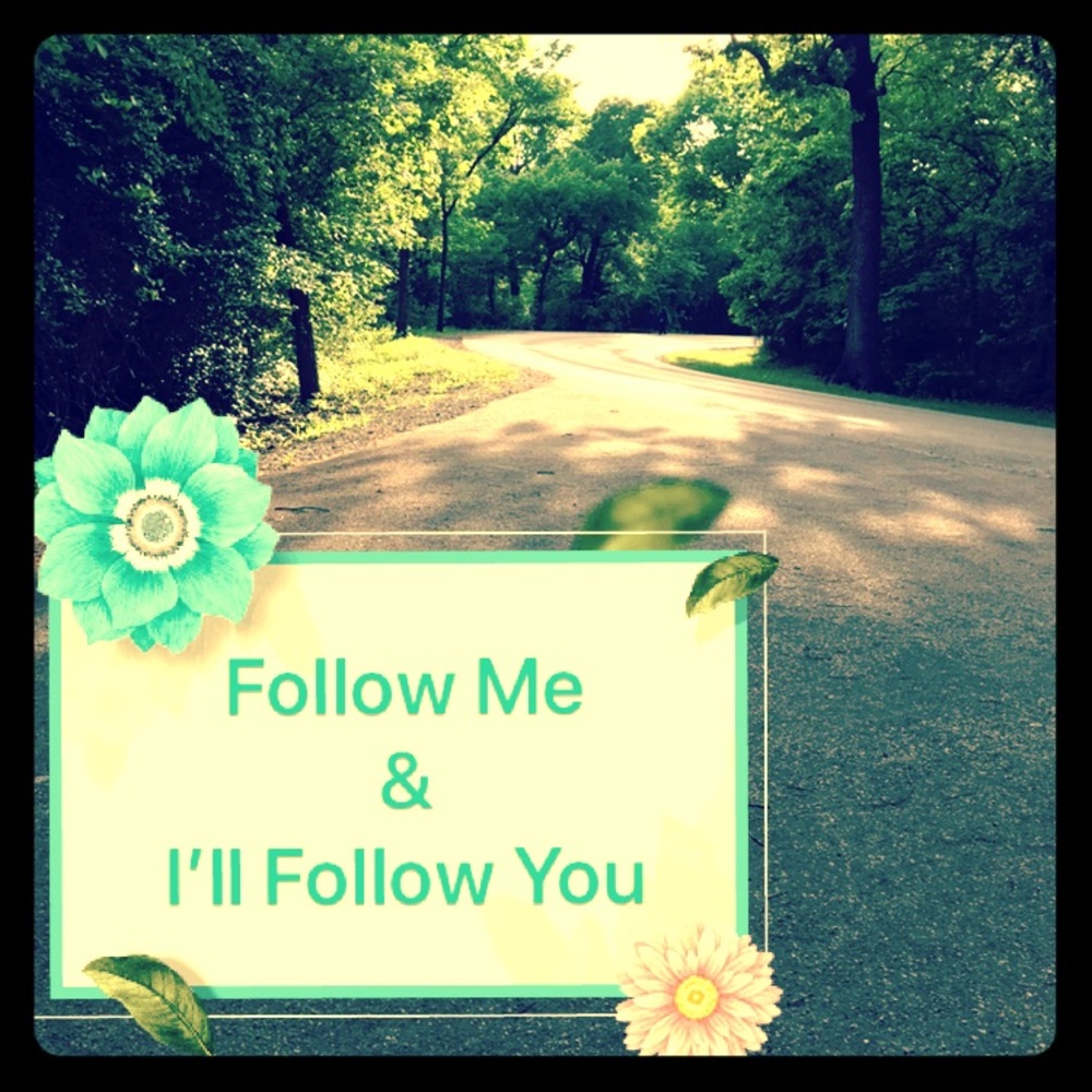 Follow Game